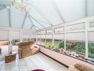 Picture 14